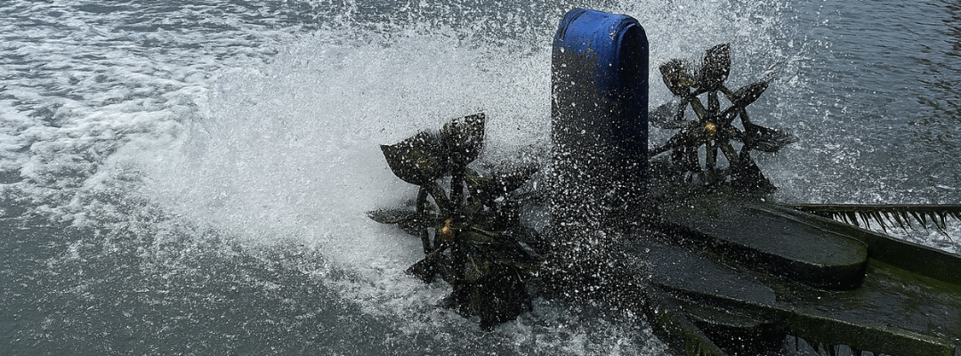 How Paddle Wheel Aerators Improve Fish Farming