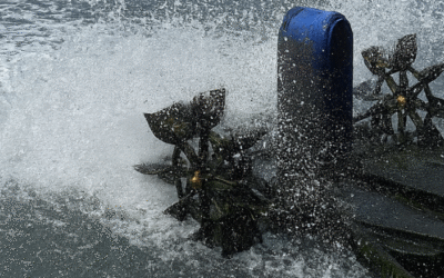 How Paddle Wheel Aerators Improve Fish Farming