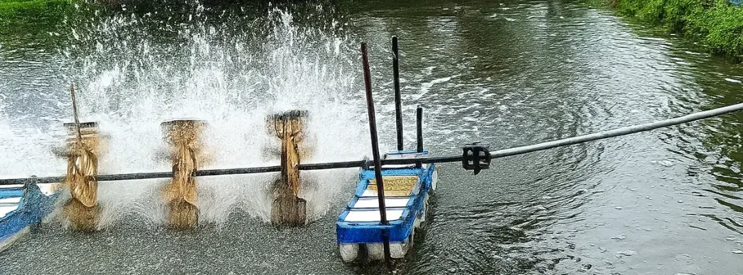 How water aerator for pond transforming aquaculture landscape
