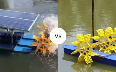 Solar vs Electric Paddle Wheel Aerator – Which Is Right for Your Aquaculture Farm?