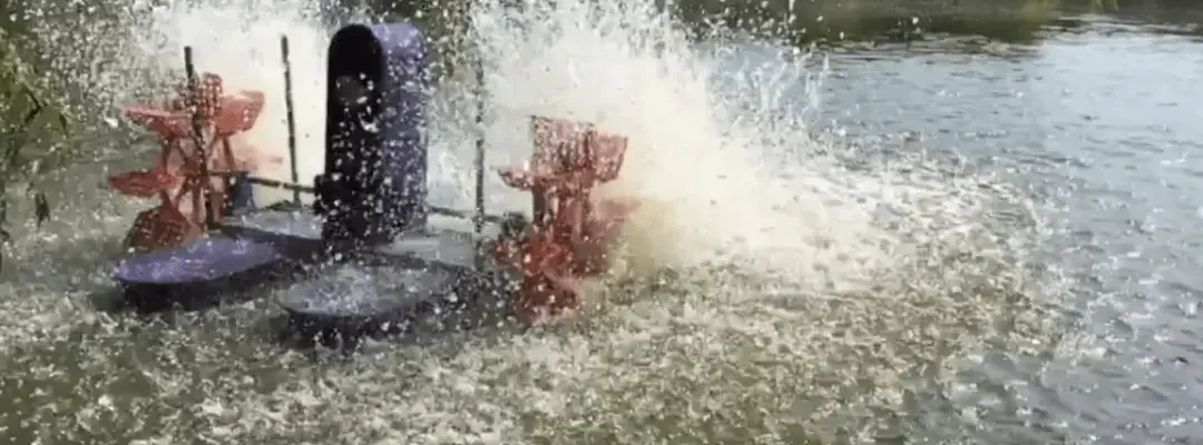 Choosing the Right Paddle Wheel Aerator: Features, Maintenance & Best Practices