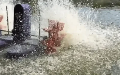 Choosing the Right Paddle Wheel Aerator: Features, Maintenance & Best Practices